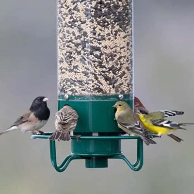 SmartGuard Squirrel Proof Bird Feeder