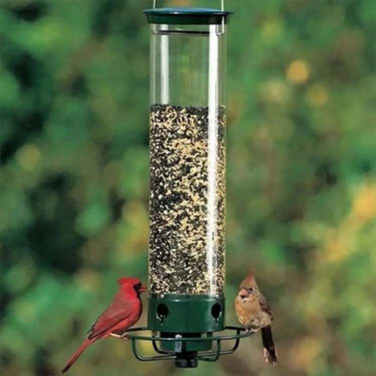 SmartGuard Squirrel Proof Bird Feeder
