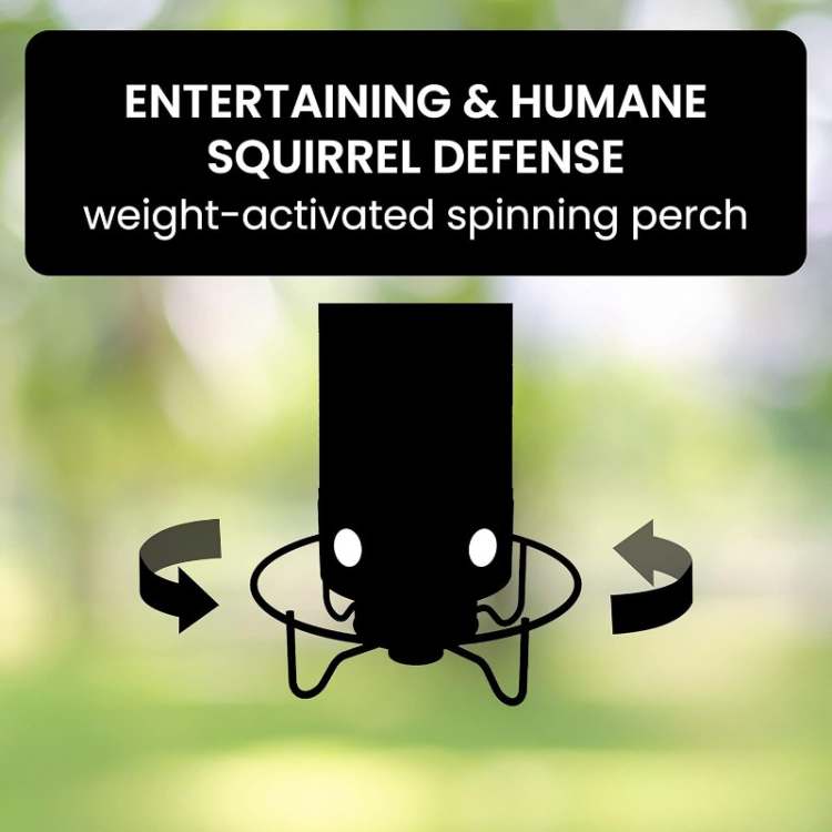 SmartGuard Squirrel Proof Bird Feeder