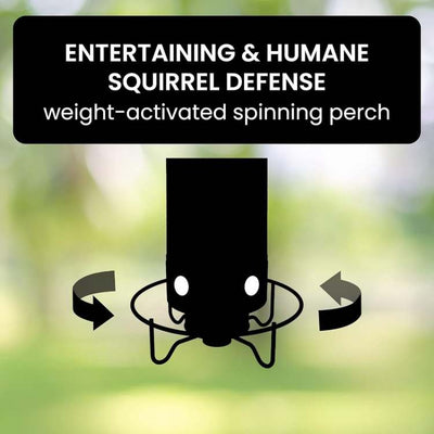 SmartGuard Squirrel Proof Bird Feeder