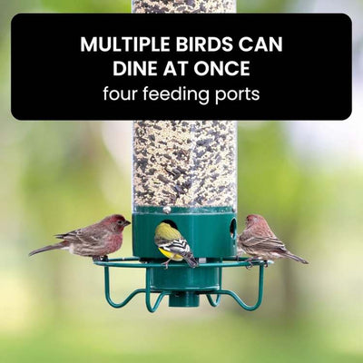 SmartGuard Squirrel Proof Bird Feeder