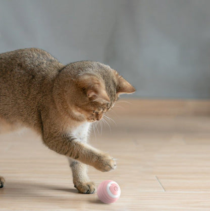 TheSpraBall - Cat Smart Ball Toy