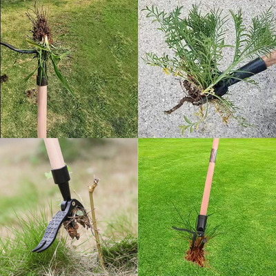 Pro Revolutionary Weeding Tool