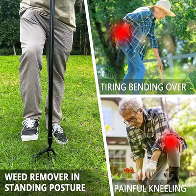 Pro Revolutionary Weeding Tool