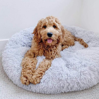 Anti-Anxiety Calming Dog Bed