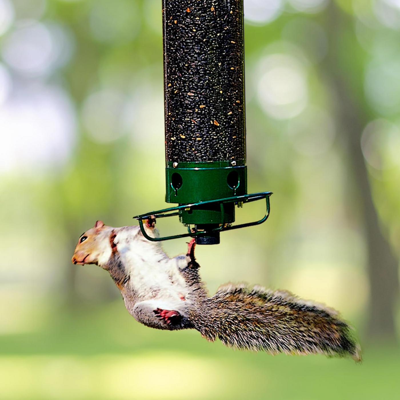 Squirrel Proof Bird Feeder with Multi-Feeding Ports