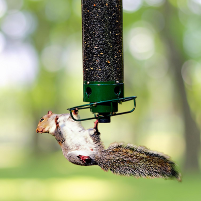 Squirrel Proof Bird Feeder with Multi-Feeding Ports