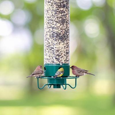 Squirrel Proof Bird Feeder with Multi-Feeding Ports