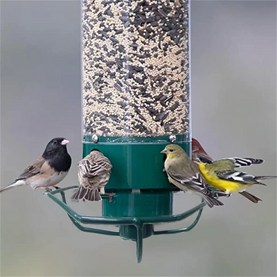 Squirrel Proof Bird Feeder with Multi-Feeding Ports