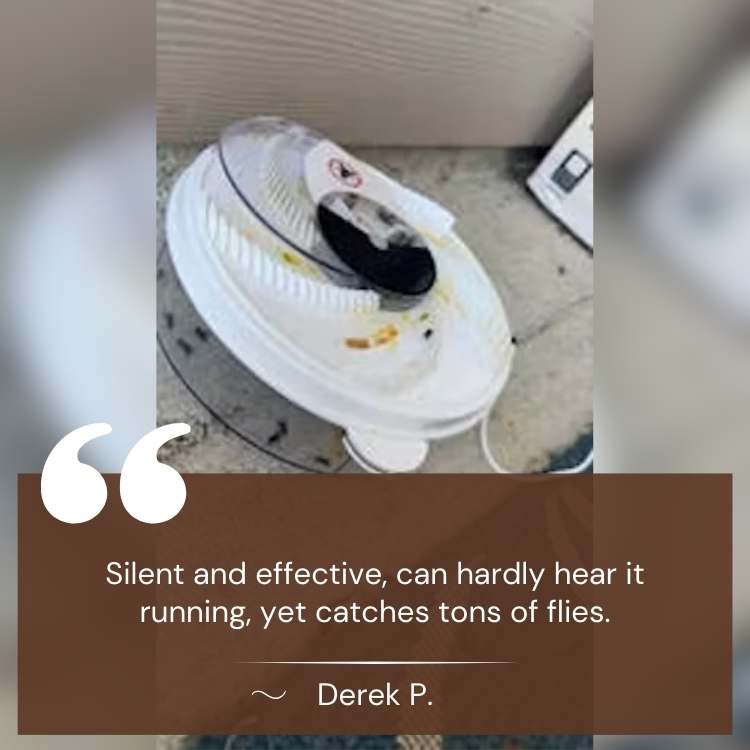 USB-Powered Silent Fly Trap
